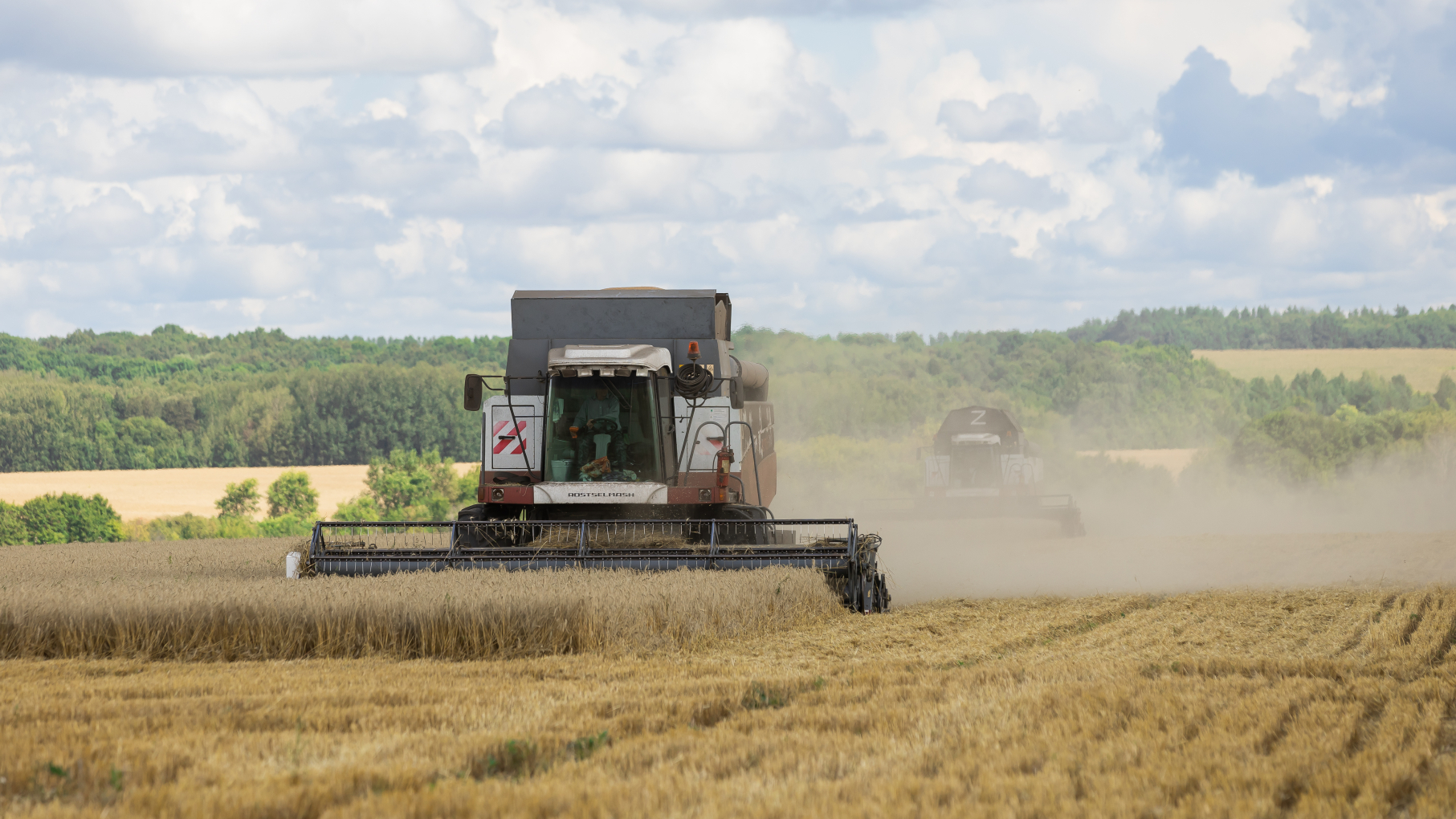 Более 1,04 млн га планируют засеять в 2026 году в Нижегородской области