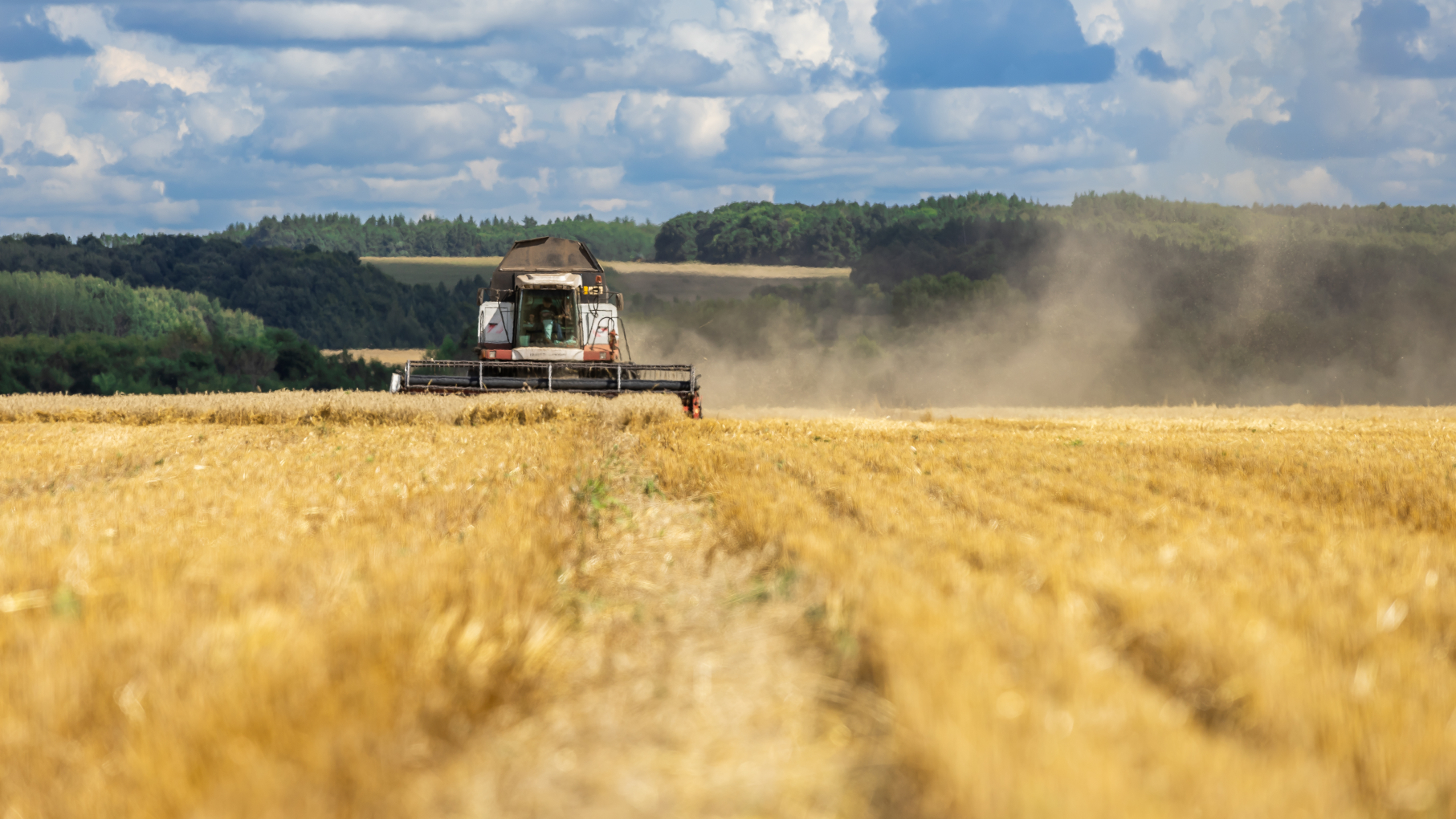 В Нижегородской области прошёл экватор кормозаготовительной кампании