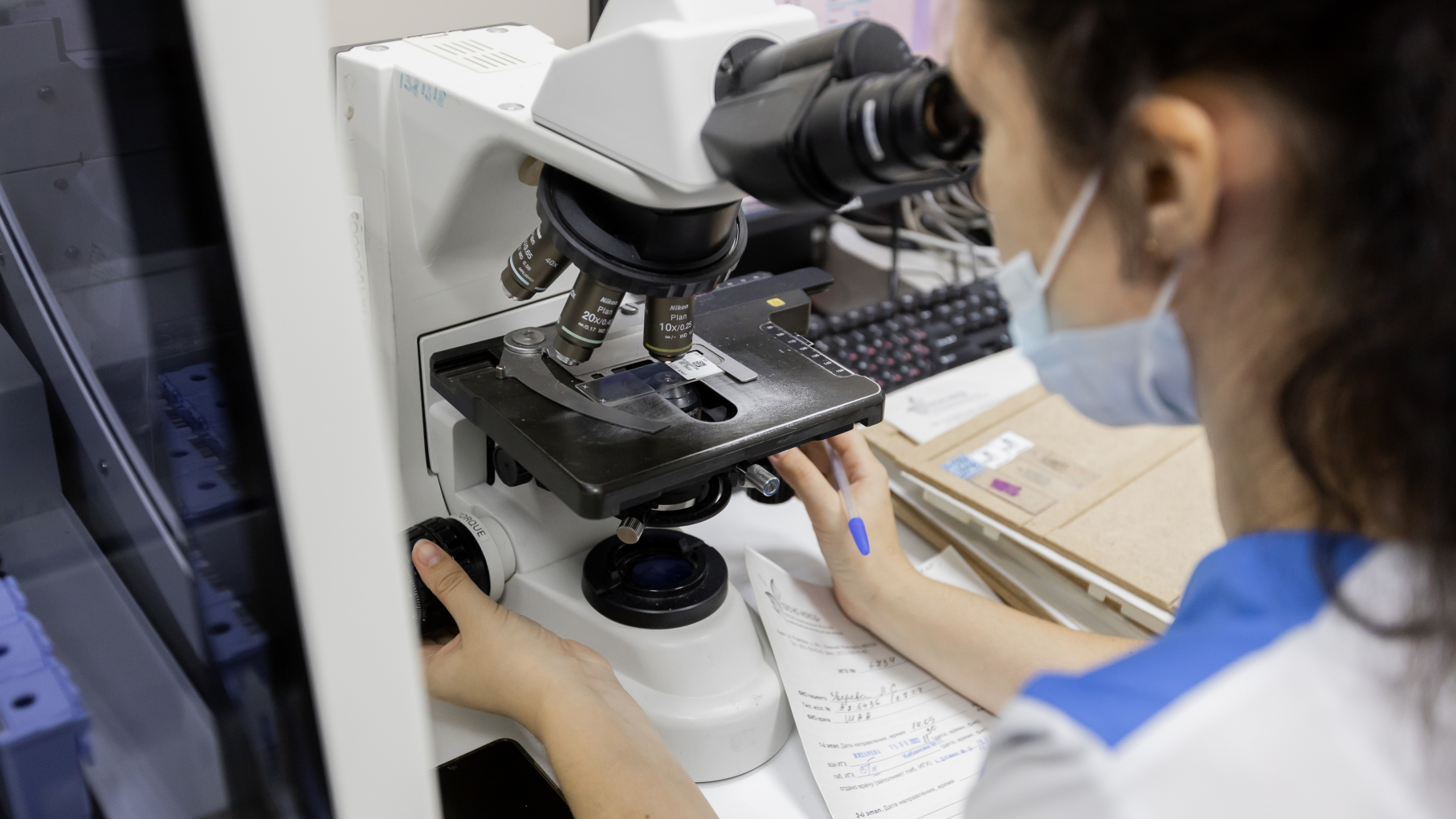 Нижегородские учёные создали ИИ для определения типа опухолей мозга