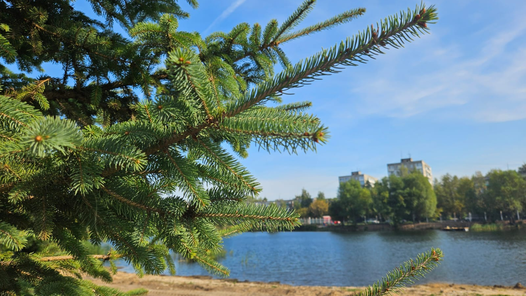 Как преобразится парк имени 777-летия города Нижнего Новгорода после благоустройства