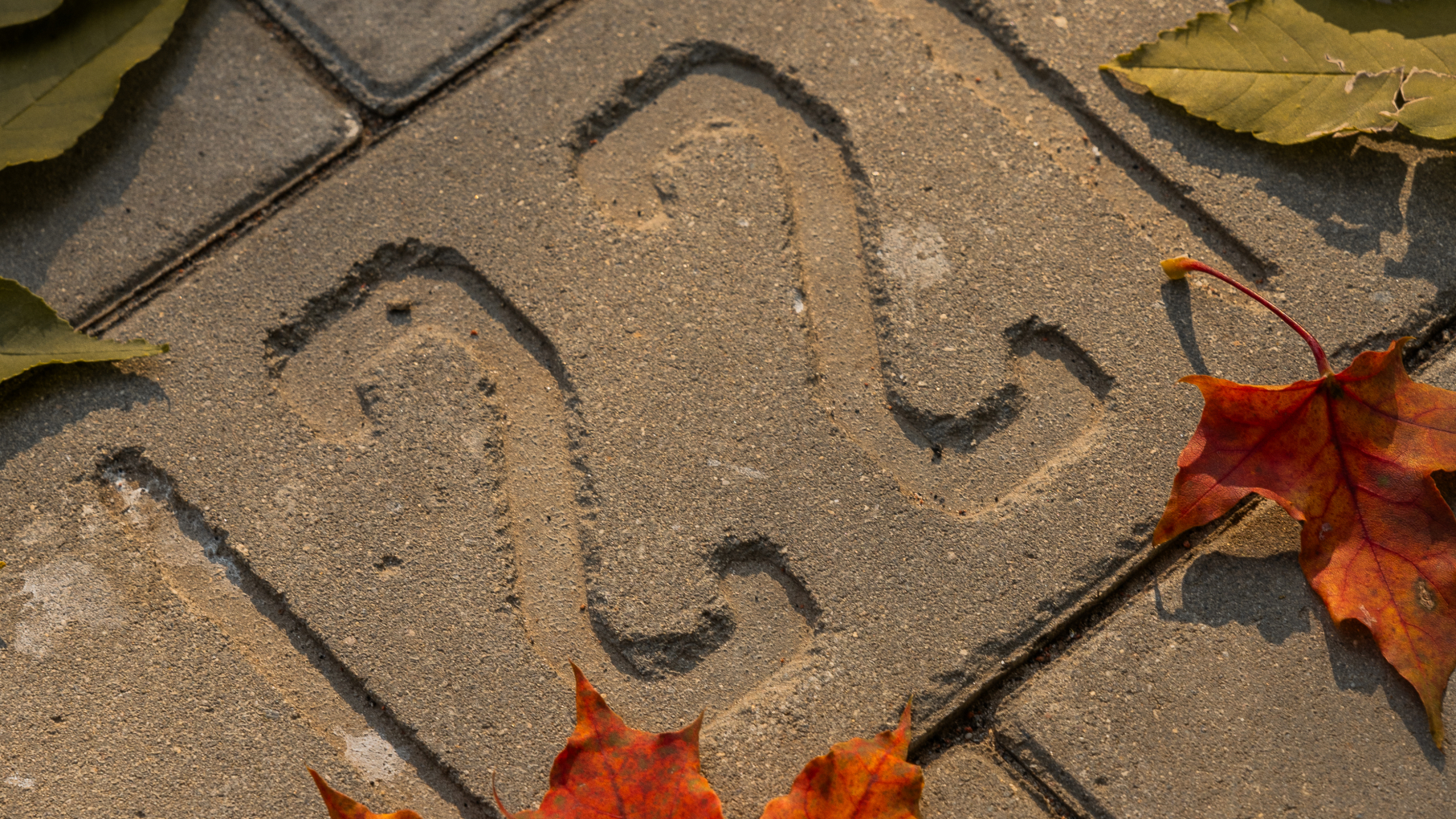 Нижегородская область вновь вошла в тройку лидеров по числу поддержанных культурных инициатив