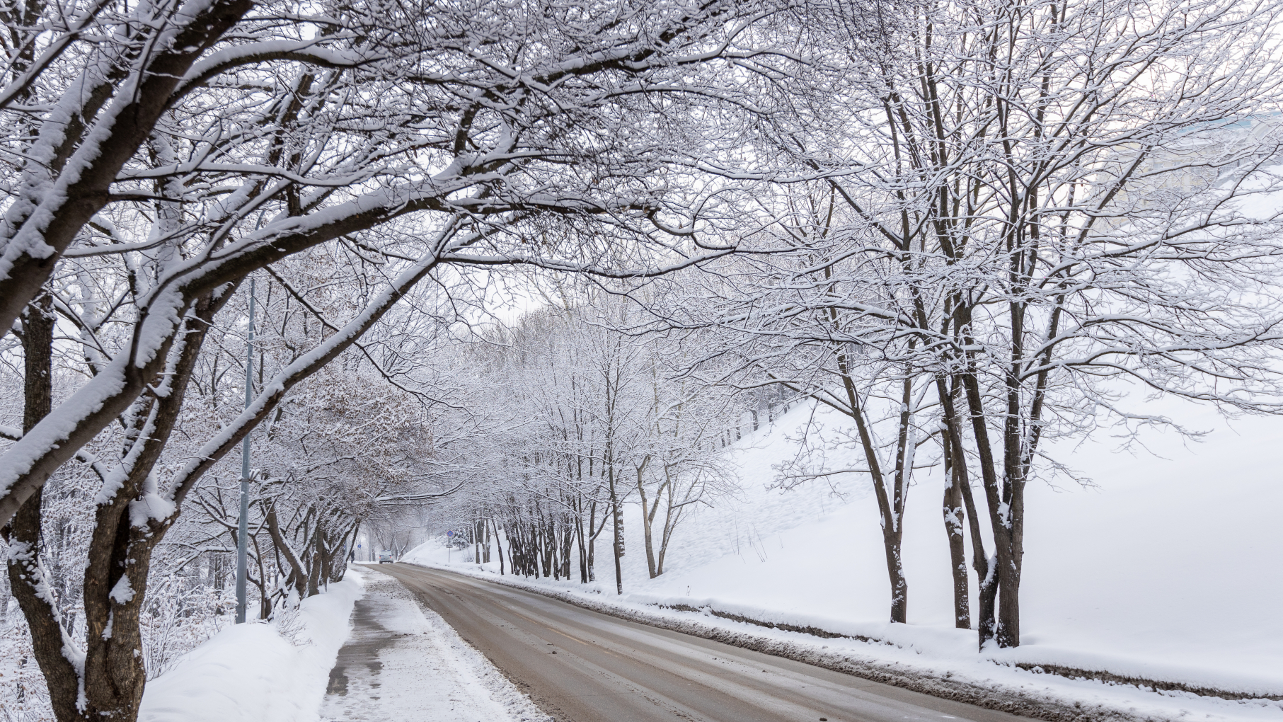 В 2025 году в Нижегородской области появилось 68 проекционных пешеходных переходов