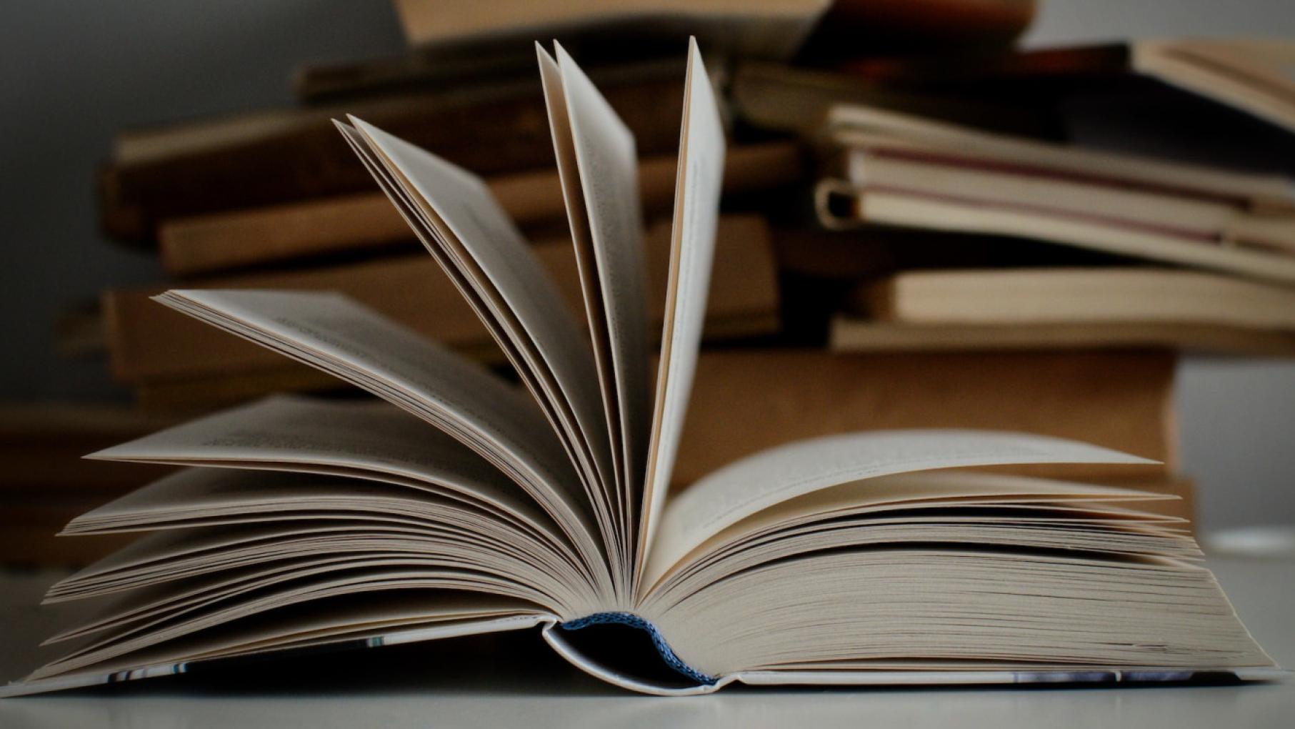 Благотворительная книжная распродажа откроется в Нижнем Новгороде