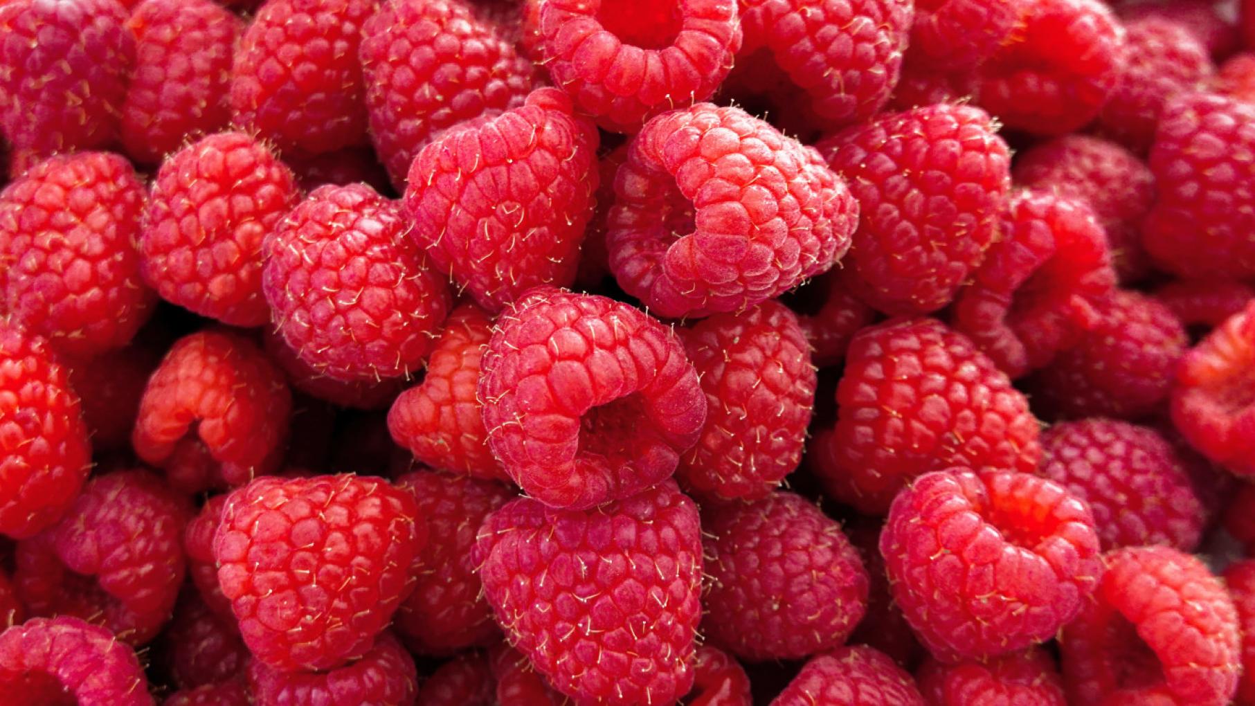 Первого производителя органической продукции зарегистрировали в Нижнем Новгороде