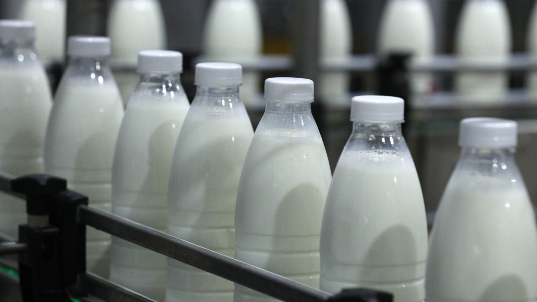 Нижегородская область произвела продуктов питания на 36,6 млрд рублей