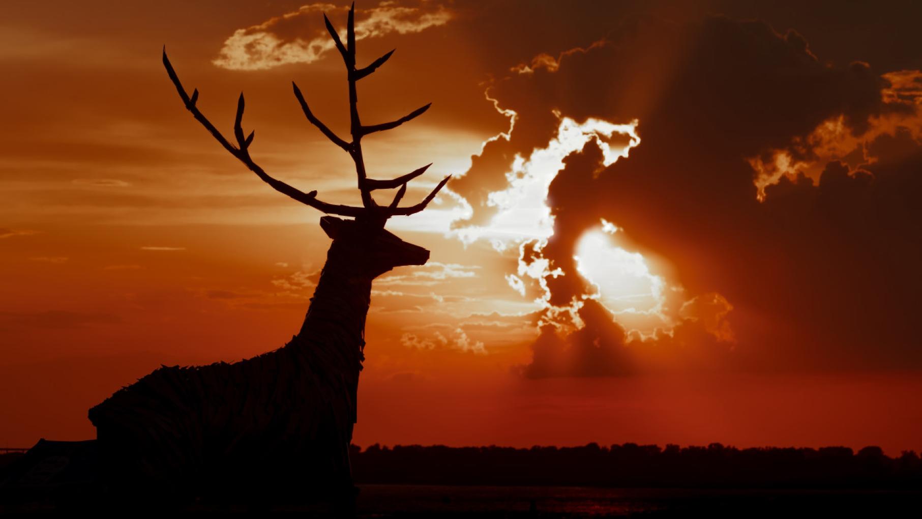 Планы на выходные в Нижегородской области