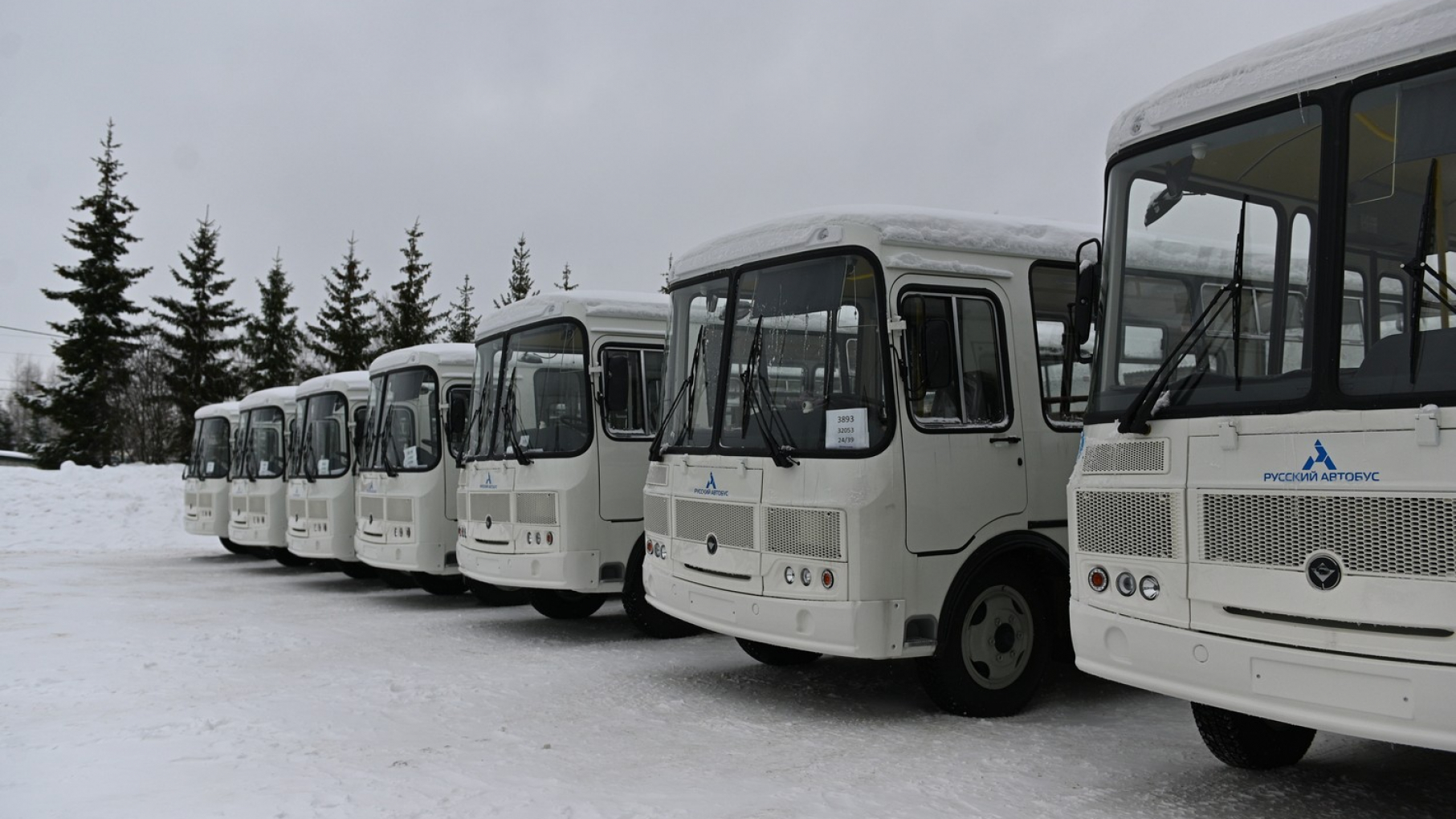 Сосновский округ Нижегородской области полностью обновил автобусный парк благодаря нацпроекту