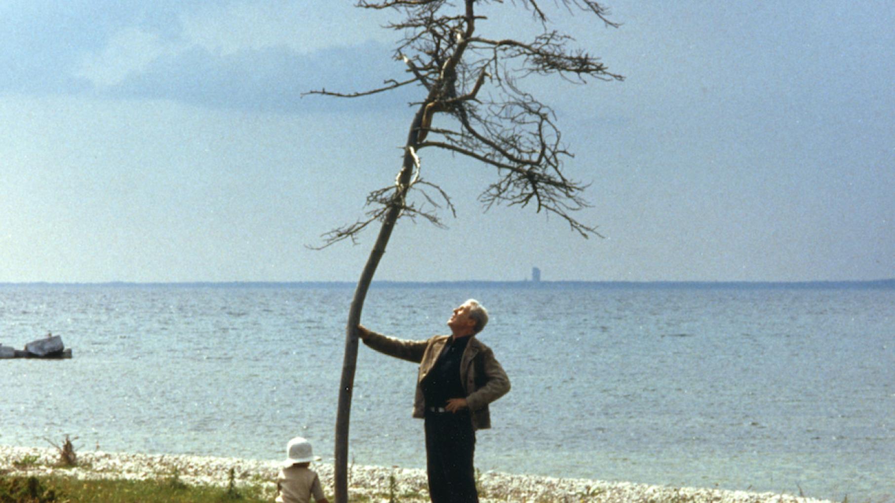 Планы на выходные в Нижегородской области