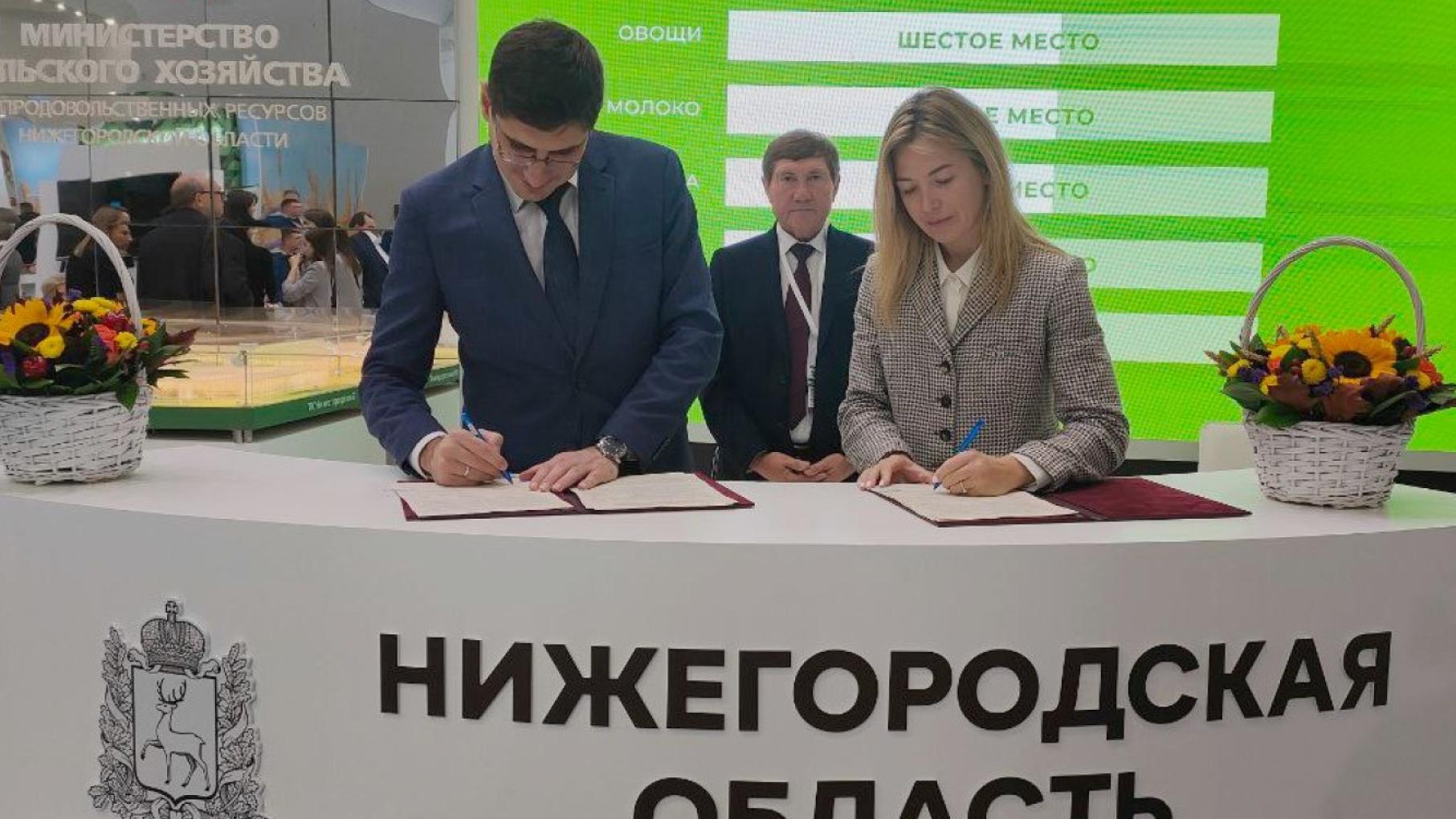 Роботизированную ферму построят в Нижегородской области