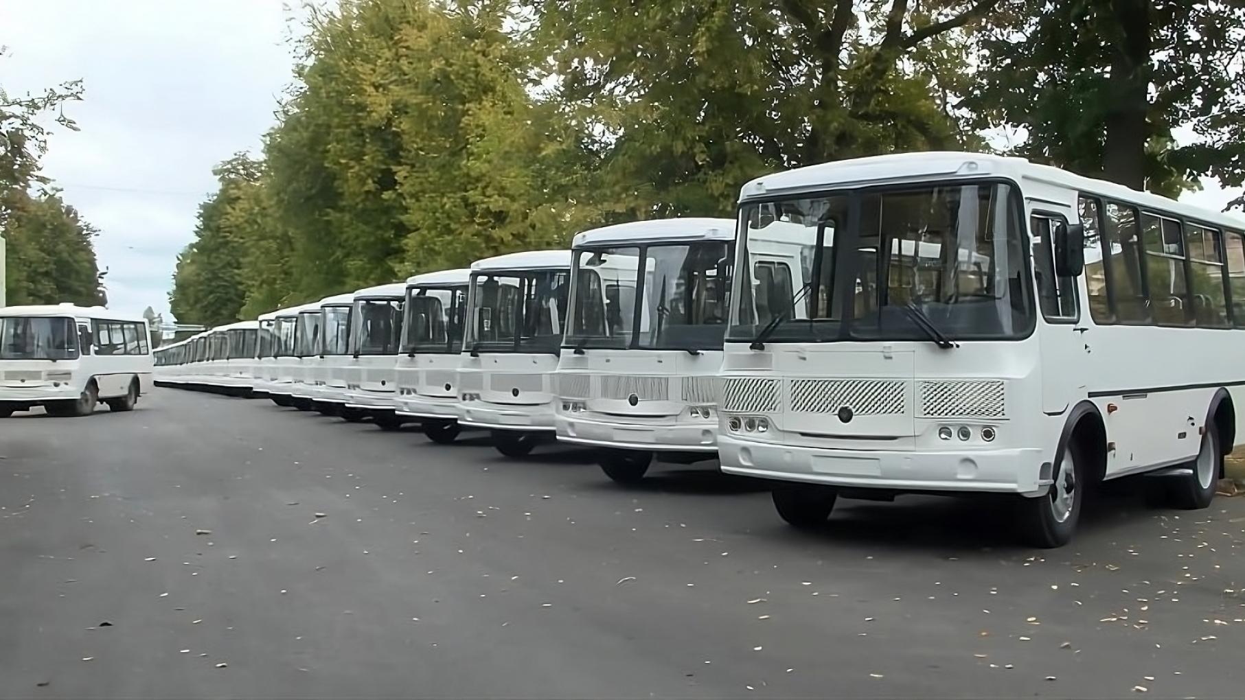 Нижегородская область получила 24 автобуса с помощью специальных казначейских кредитов