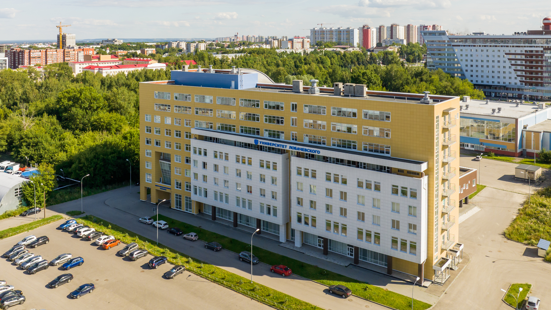 Стимулятор для коррекции когнитивных нарушений разработали нижегородские учёные