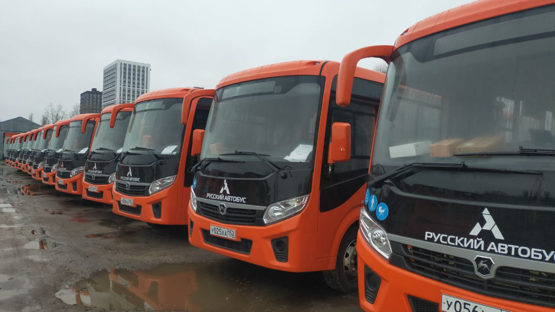 В Нижний Новгород поступило 50 новых автобусов