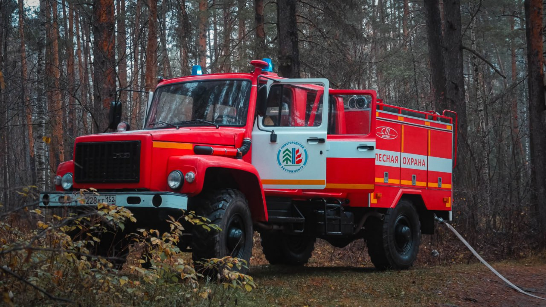 В Нижегородской области число лесных пожаров снизилось на треть