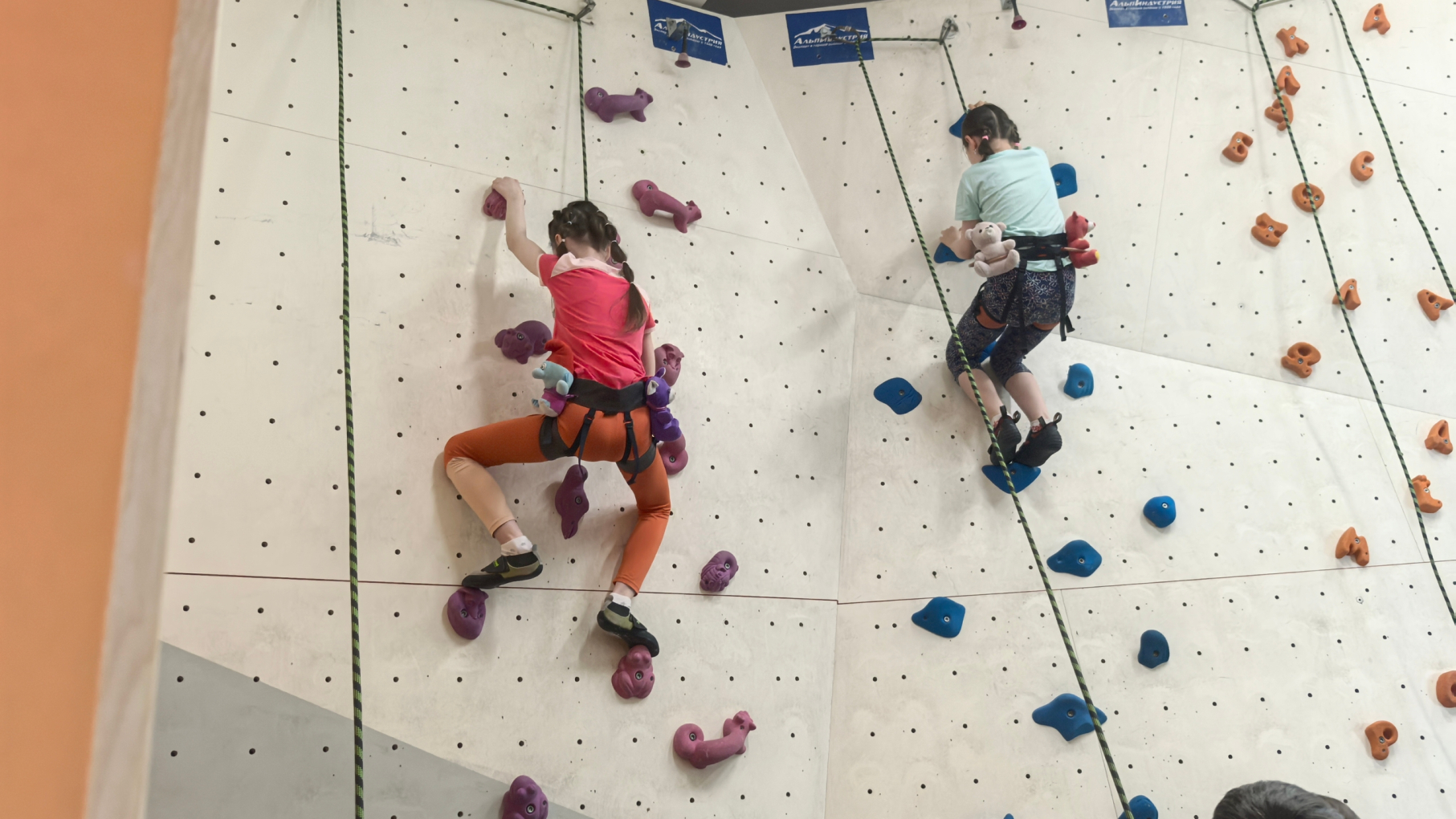 Нижегородский проект по адаптивному скалолазанию удостоен национальной премии