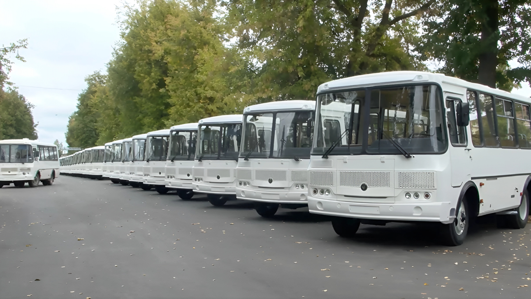 Более 150 новых автобусов вышли на маршруты в муниципалитетах Нижегородской области
