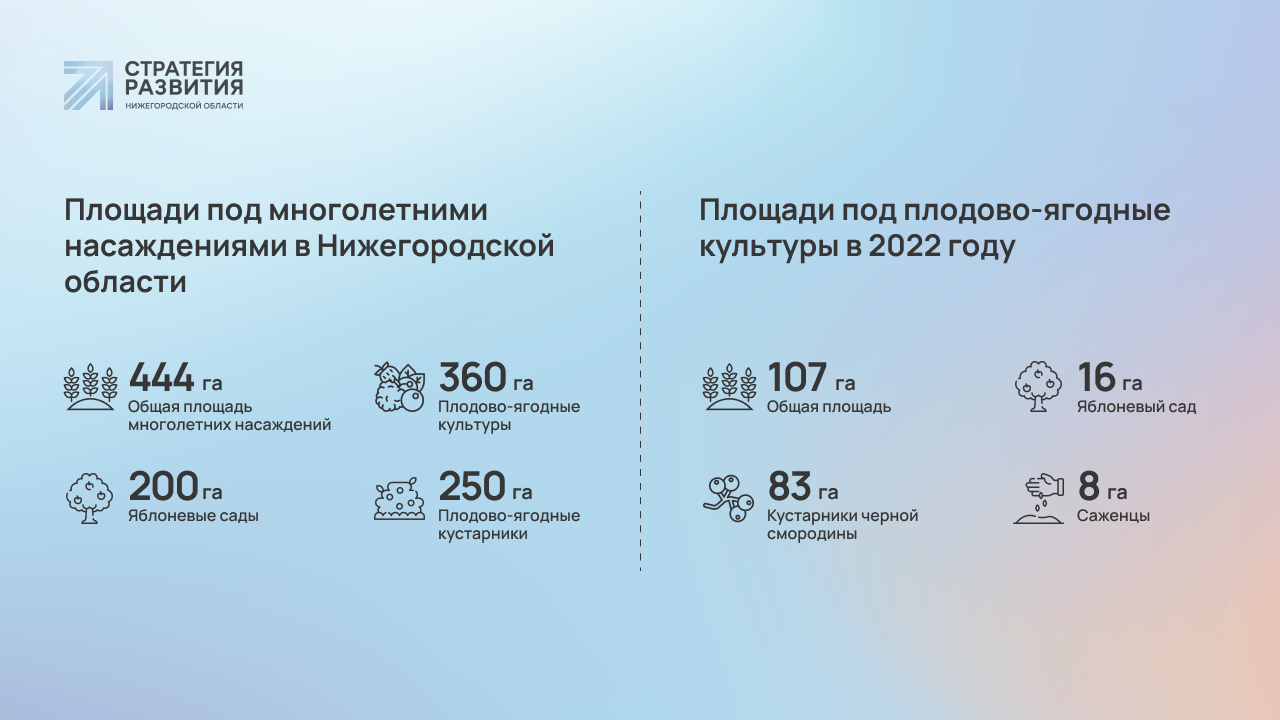 Все в сад»: нижегородские аграрии увеличивают производство фруктов и ягод |  Стратегия развития Нижегородской области